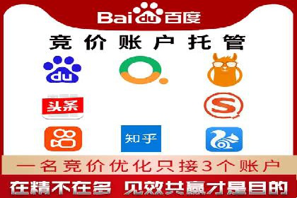 揭秘：成功SEM推广代运营公司案例解析